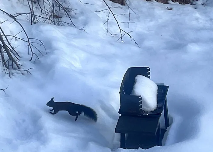 Les Jouges Dağ evi *